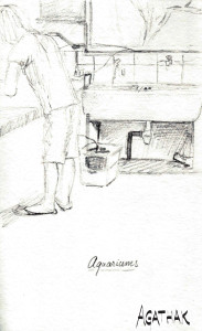 1007 aquariums