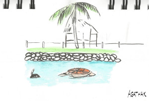 2207 Laurik Tortue