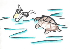 2207 tortue