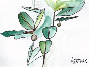 0308 TAMANU