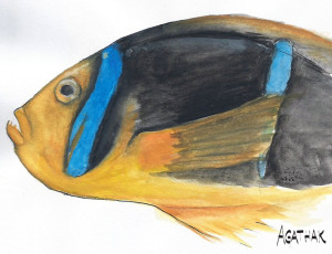 0608 poisson clown