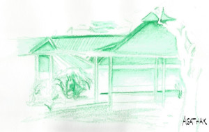 3007 site