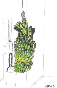 2809 bananes