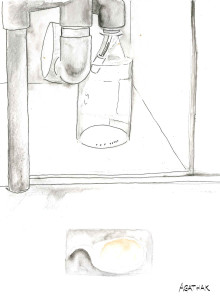 aquarium 2